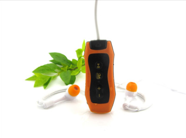 FLIPSTYLEZLLC MP3 music player with a sleek black design, compact portable device for listening to digital music on the go