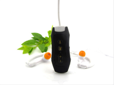 FLIPSTYLEZLLC MP3 music player with a sleek portable design and digital display for listening to favorite songs.