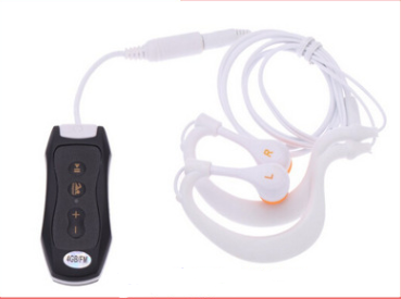 FLIPSTYLEZLLC MP3 music player with a sleek design, digital screen, and control buttons for portable music listening.